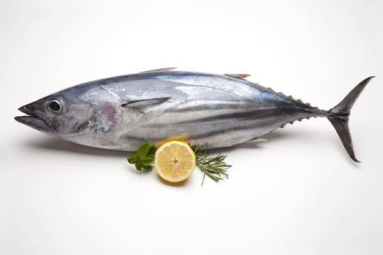 Tuna